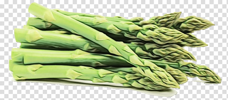 asparagus vegetable plant food celtuce, Watercolor, Paint, Wet Ink, Leaf Vegetable, Superfood transparent background PNG clipart