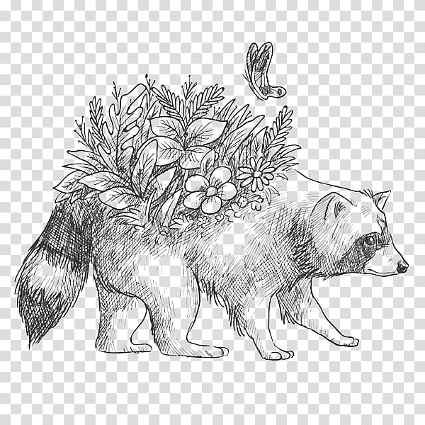 Fox Drawing, Raccoon, Wolf, Bear, Animal, Diagram, Creative Work, Raccoons transparent background PNG clipart