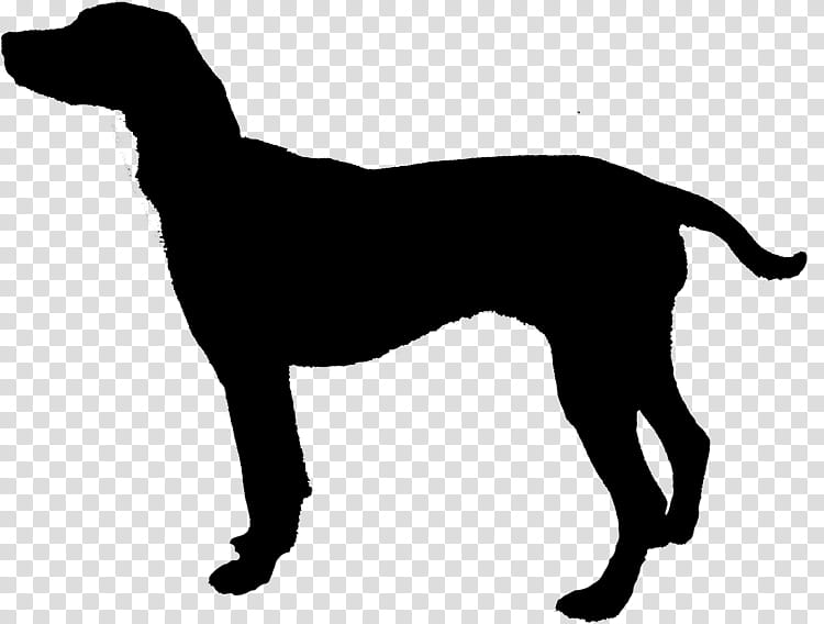 Dog Silhouette, Labrador Retriever, English Mastiff, Fotolia, Sporting Group, Tail, Hunting Dog, Montenegrin Mountain Hound transparent background PNG clipart