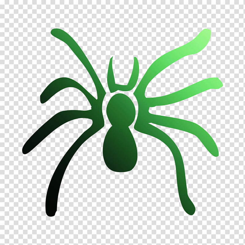 Green Leaf Logo, Insect, Line, Pollinator, Membrane, Spider, Tarantula, Arachnid transparent background PNG clipart