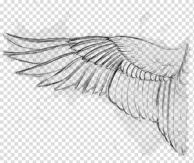 Grungy Graphite Wings resource transparent background PNG clipart
