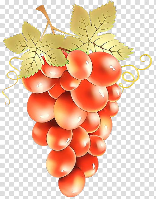 grape seedless fruit fruit grapevine family plant, Vitis, Leaf, Grapefruit, Food, Flower, Natural Foods, Vegetarian Food transparent background PNG clipart
