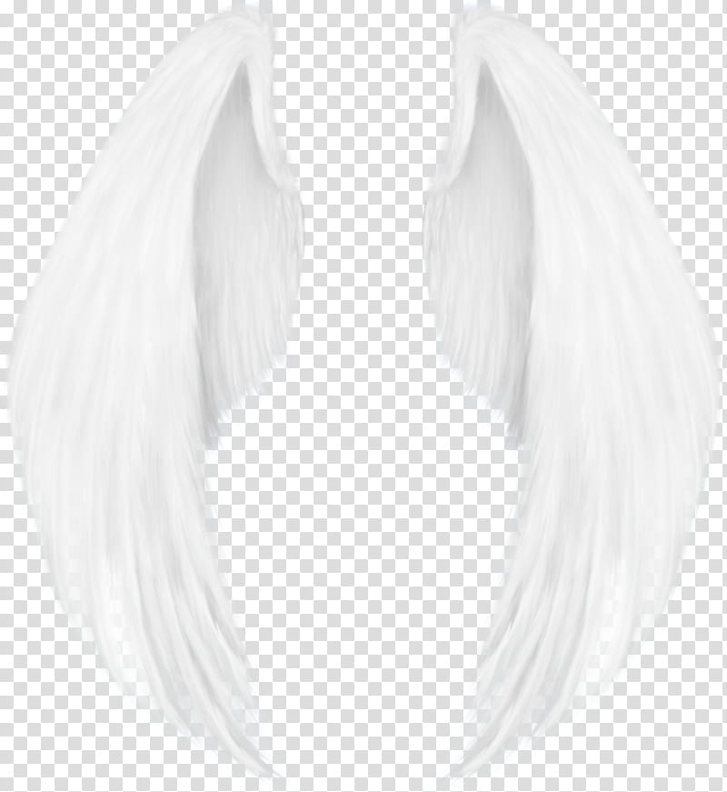alas, pair of white wings art transparent background PNG clipart