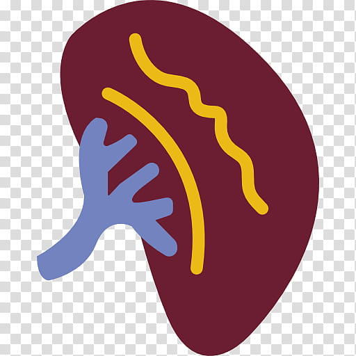 Urology Logo, Kidney, Physician, Disease, Comptegouttes transparent background PNG clipart