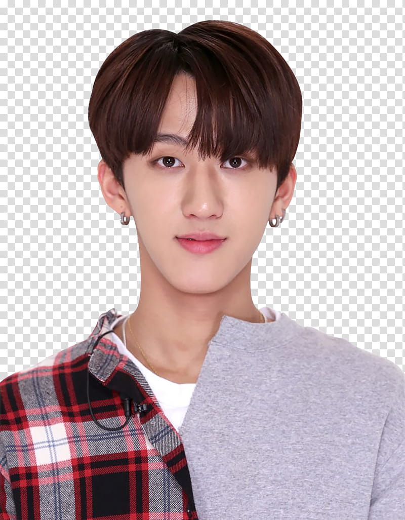 New Ade Stray Kids transparent background PNG clipart