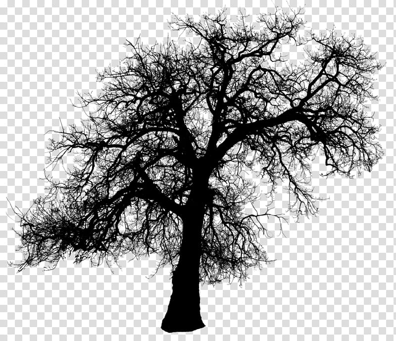 Resources  Overexposed, black tree illustration transparent background PNG clipart