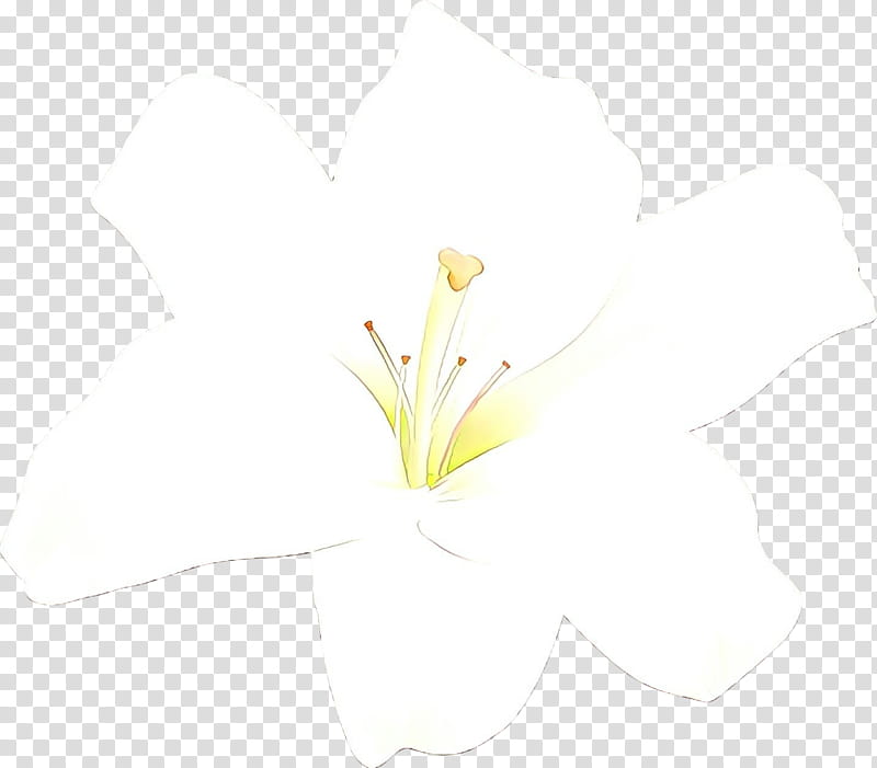 White Lily Flower, Computer, Plant Stem, Branching, Plants, Yellow, Petal, Lily Family transparent background PNG clipart