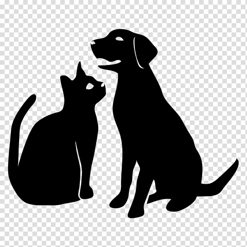 Dog And Cat, Beauty Bark Of Essex, Pet, Veterinarian, Pet Sitting, Pet Travel, Pet Shop, Black Cat transparent background PNG clipart