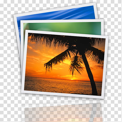 MAC OS X LEOPARD DOCK, coconut palm tree during sunset transparent background PNG clipart