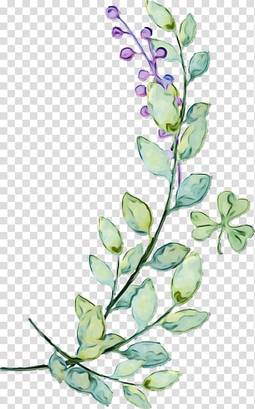 Floral Flower, Cream, Lotion, Eczema, Qv Moisturising Cream, Violet, Lilac, Leaf transparent background PNG clipart