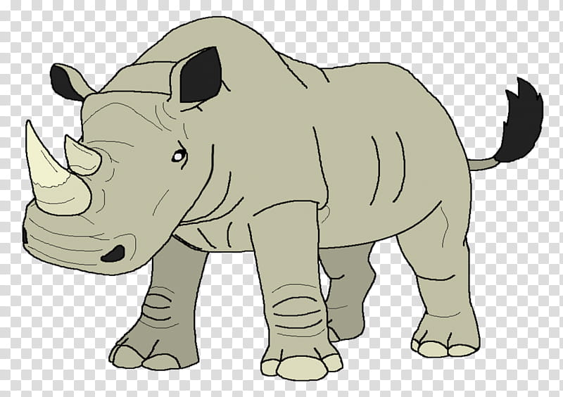 Indian Elephant, Rhinoceros, Hippopotamus, African Bush Elephant, White Rhinoceros, Drawing, Animal, Horn transparent background PNG clipart
