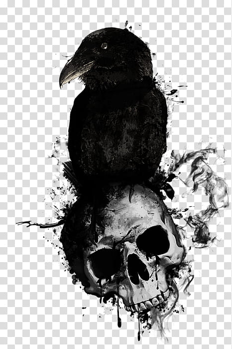 Skull Drawing, Poster, Canvas, Canvas Print, Common Raven, Artist, Displate, Gallery Wrap transparent background PNG clipart