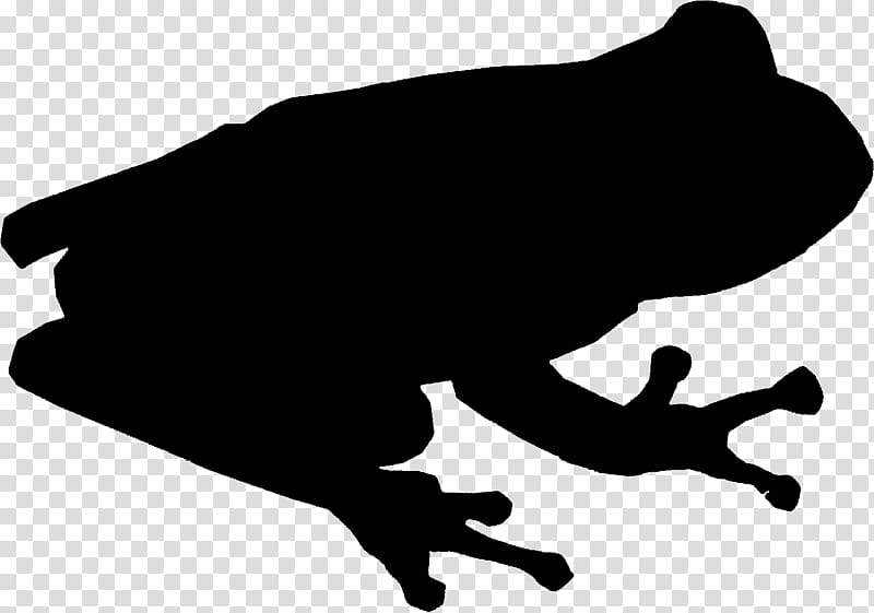 Tree Silhouette, Black M, Frog, White, Blackandwhite, Toad, Footwear, Tree Frog transparent background PNG clipart