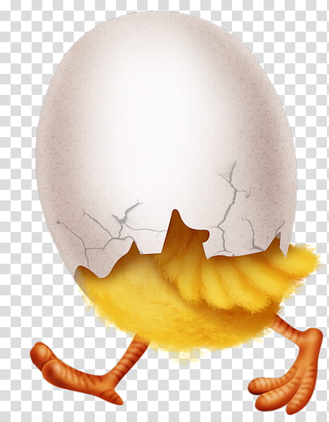 Egg, Yellow, Egg White, Egg Cup, Jaw, Egg Yolk transparent background PNG clipart