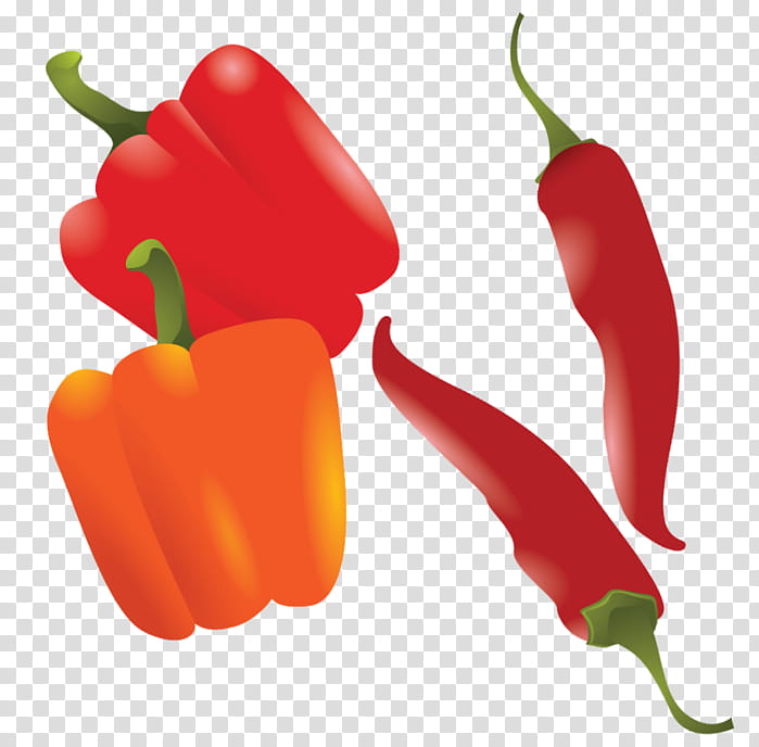 Kids, Vegetable, Fruit, Chili Pepper, Bell Pepper, Food, Kids Meal, Jigsaw Puzzles transparent background PNG clipart