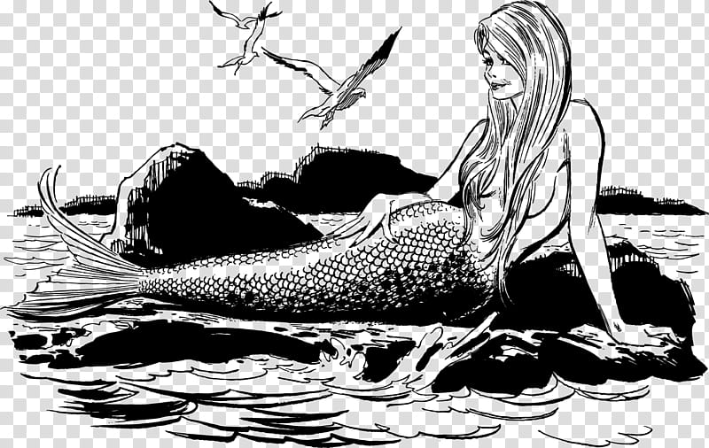 Vintage ladies, mermaid with seagulls sketch transparent background PNG clipart