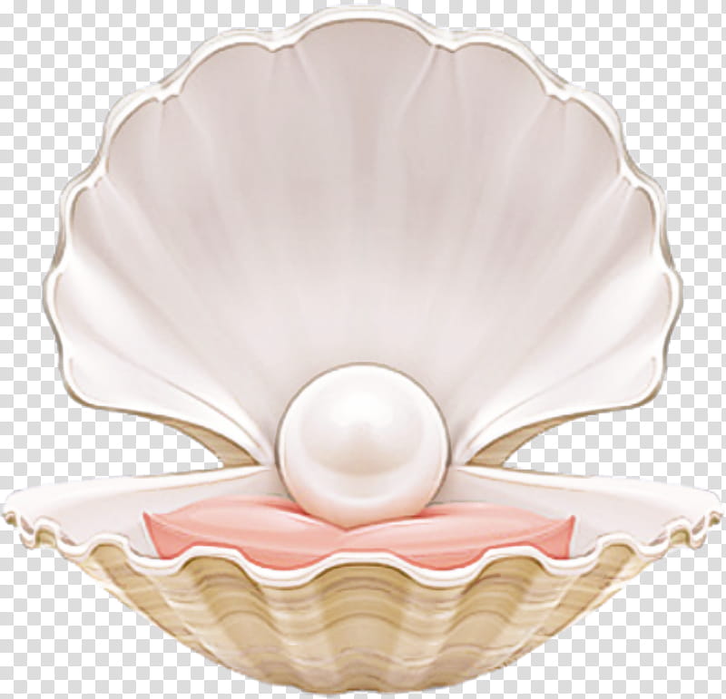 Pink pearl tableware bivalve natural material, Petal, Bowl transparent ...