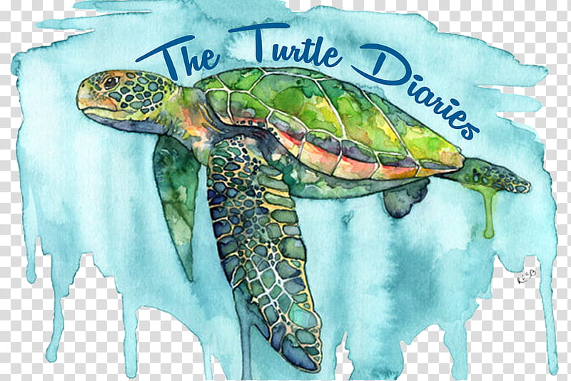 Sea Turtle, Watercolor Painting, Canvas, Acrylic Paint, Printmaking, Artist, Watercolor Paper, Fine Arts transparent background PNG clipart