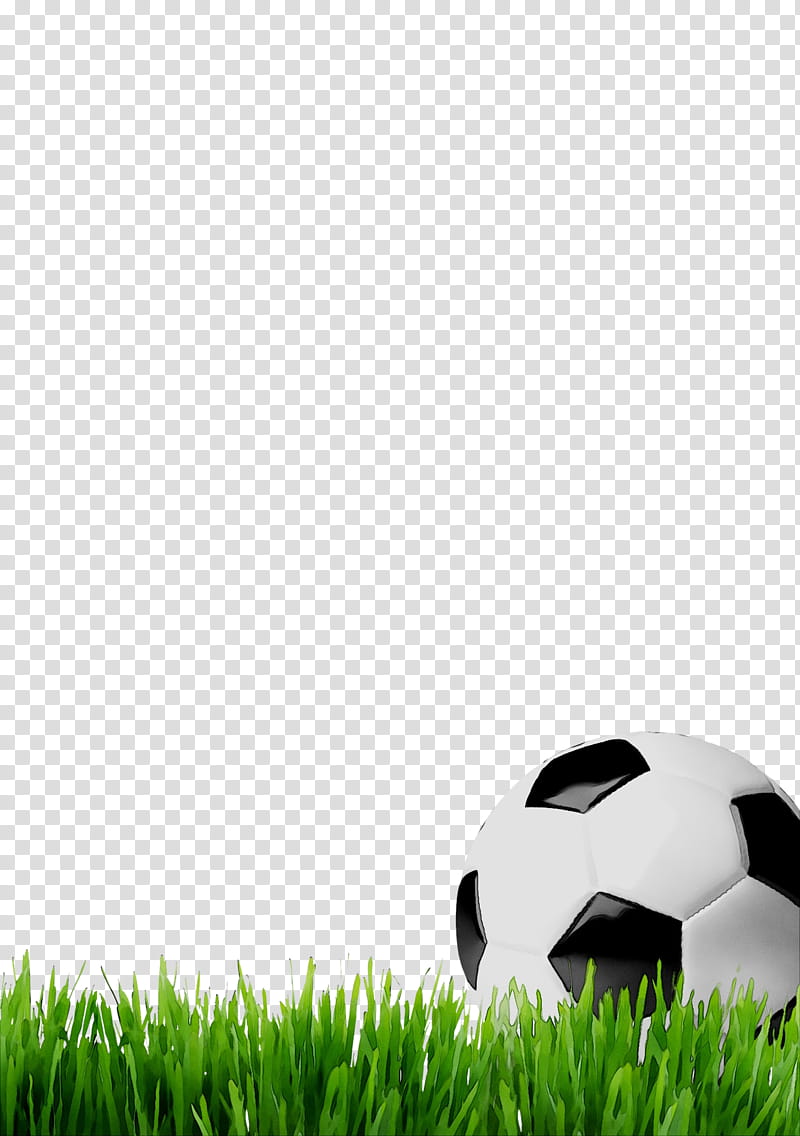 Green Grass, Computer, Grasses, Football, Frank Pallone, Soccer Ball, Artificial Turf, Lawn transparent background PNG clipart