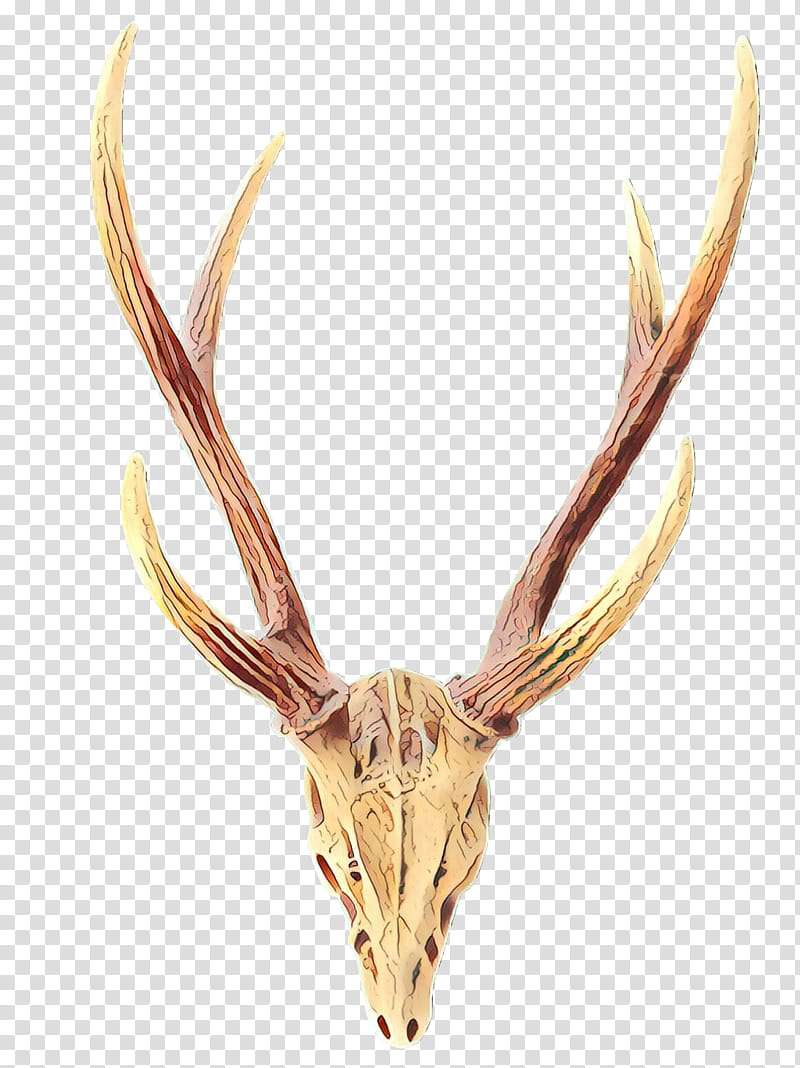 horn antler head deer elk, Wildlife, Skull, Bone, Natural Material transparent background PNG clipart