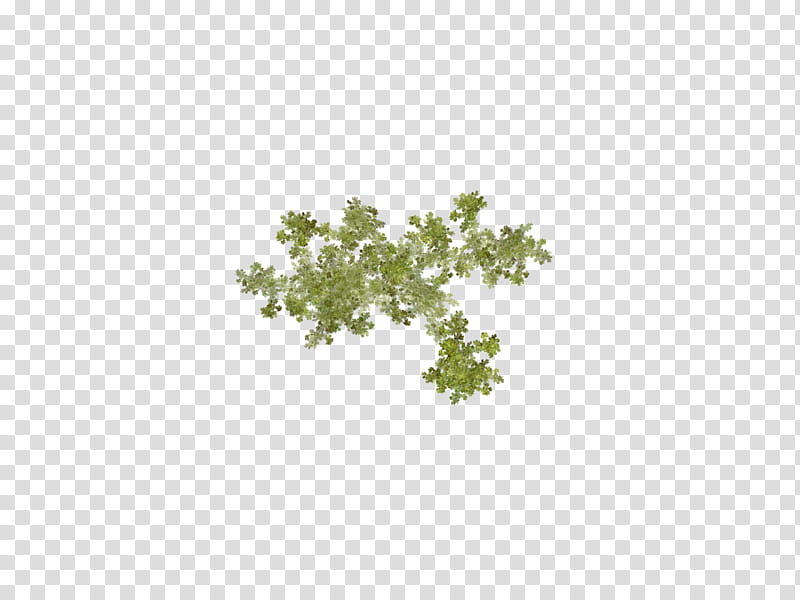 Aqua Set Fractal Set III, green-leafed illustration transparent background PNG clipart