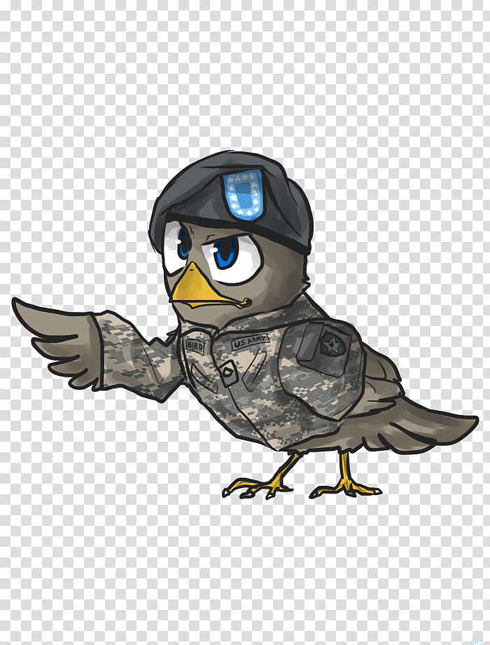 US Army Bird transparent background PNG clipart