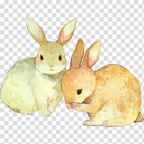Easter Bunny, Rabbit, Watercolor Painting, Drawing, 2018, Rabbit Rabbit Rabbit, Hare transparent background PNG clipart
