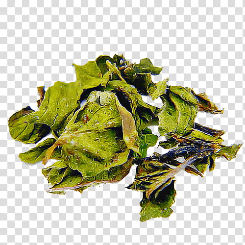 leaf leaf vegetable plant food vegetable, Spring Greens, Flower, Red Leaf Lettuce, Chard transparent background PNG clipart