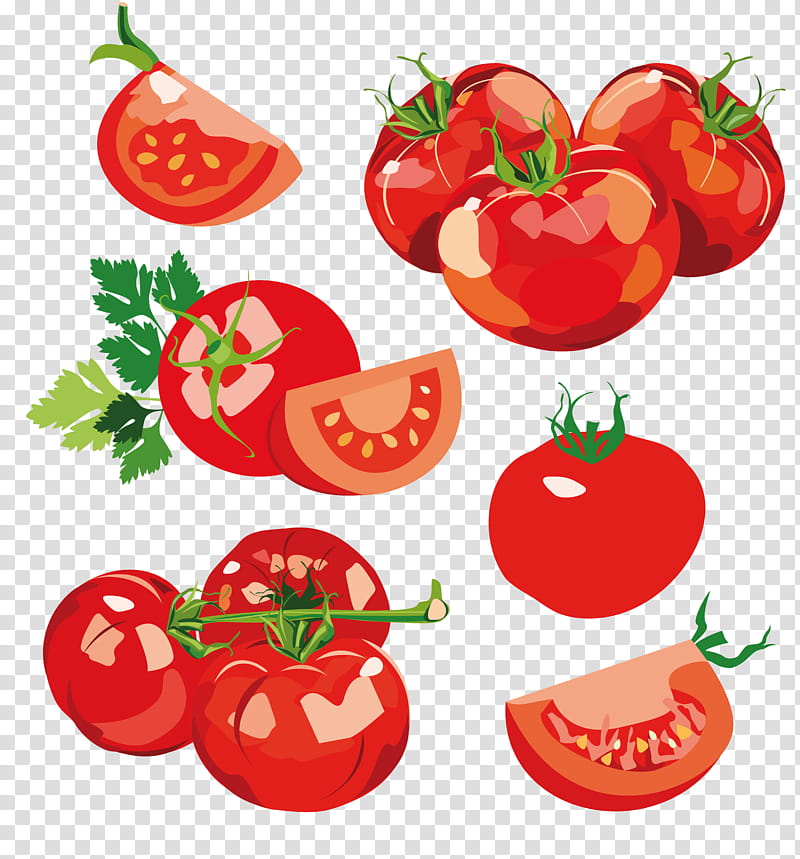Onion, Vegetable, Chili Pepper, Food, Fruit, Cucumber, Bell Pepper, Kumato transparent background PNG clipart