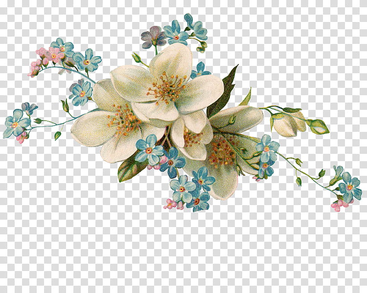 Vintage ll, white, pink, and blue flowers illustration transparent background PNG clipart