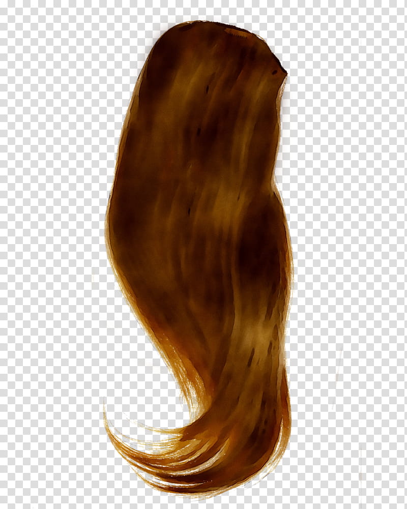 Hair, Hair Coloring, Layered Hair, Long Hair, Brown Hair, Wig, Caramel Color, Hairstyle transparent background PNG clipart