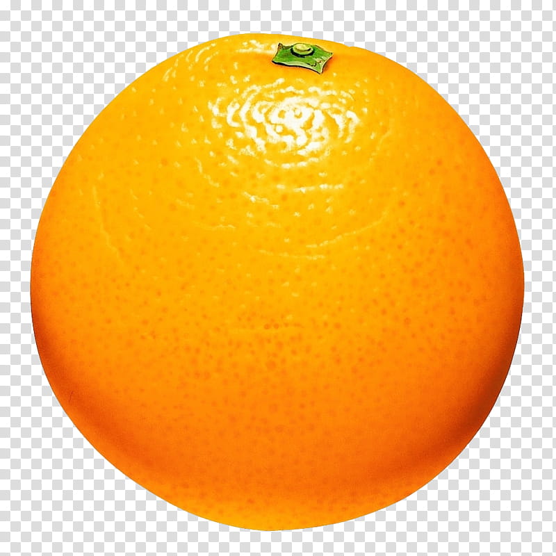 Fruit Orange Fruit Transparent Background Png Clipart Hiclipart