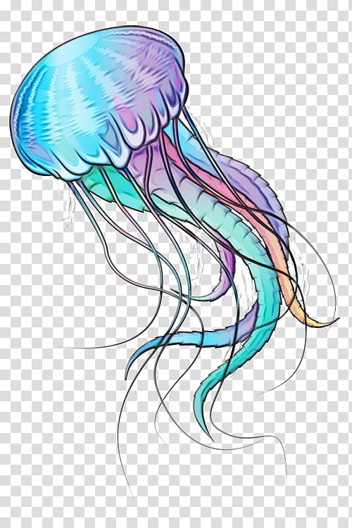 Mermaid Drawing, Jellyfish, Ocean, Blog, Blue Jellyfish, Mermaid M, Sea, Cnidaria transparent background PNG clipart