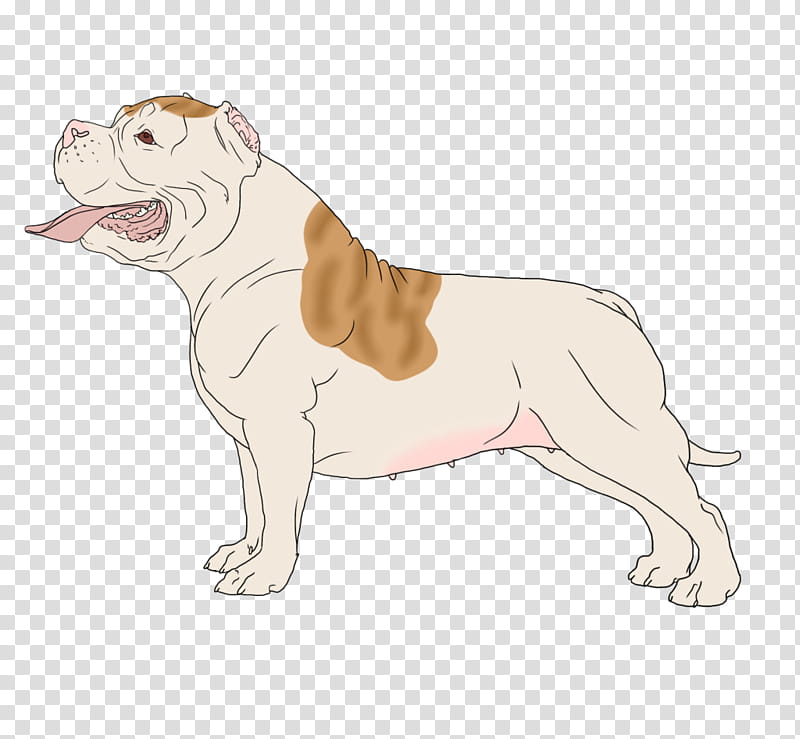 Bulldog Drawing, Toy Bulldog, Puppy, Snout, Breed, Animal, British Bulldogs, Groupm transparent background PNG clipart