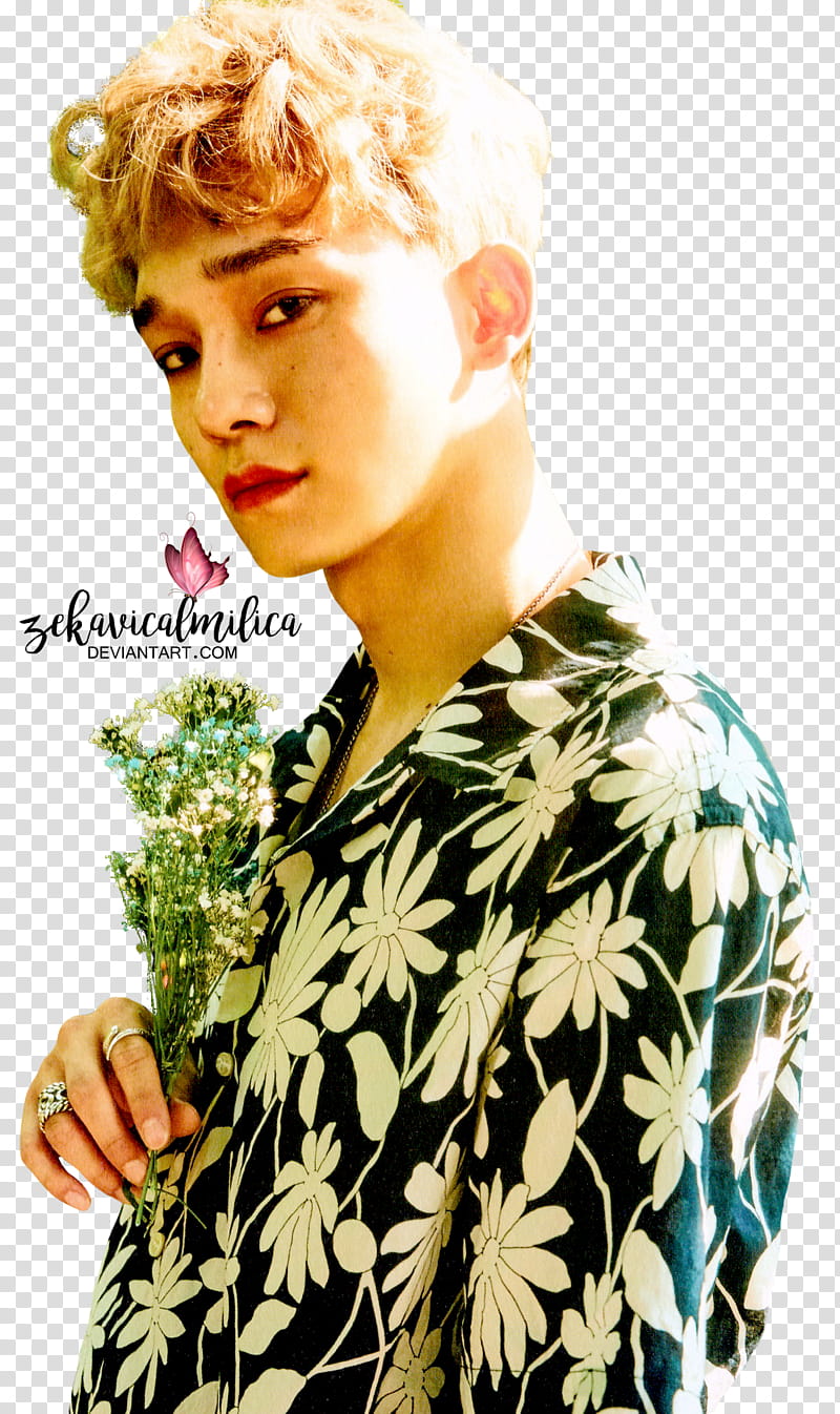 EXO Chen The War, man holding flowers transparent background PNG clipart