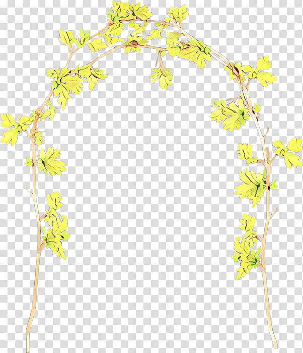 Floral Plant, Cartoon, M 0d, Floral Design, Plant Stem, Leaf, Plants, Family Grapevine transparent background PNG clipart