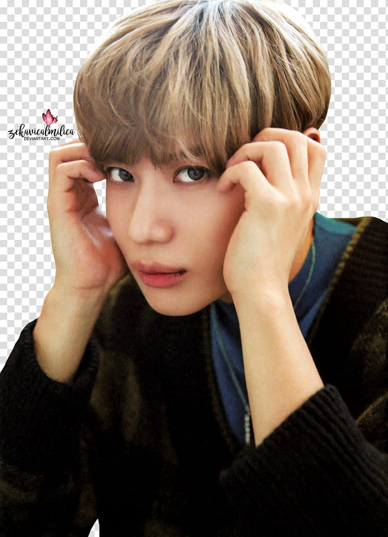 SHINee Taemin  Season Greetings transparent background PNG clipart