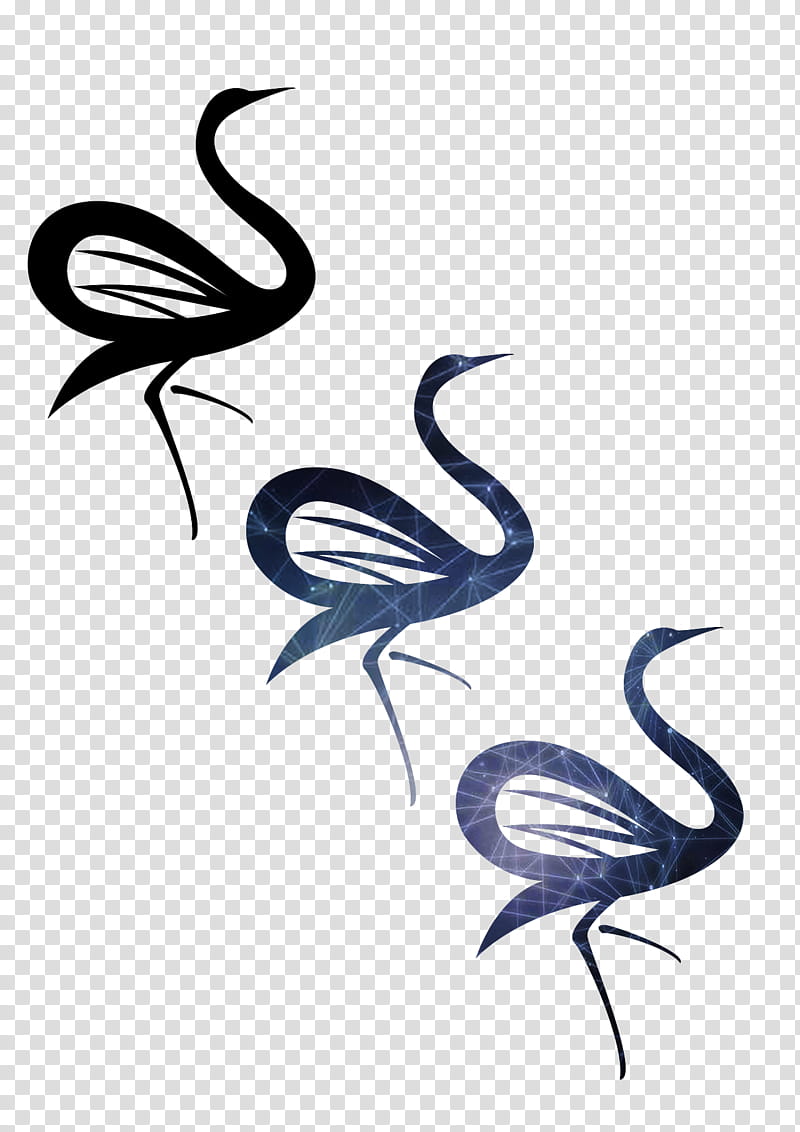 Bird Wing, Beak, Drawing, Feather, Water Bird, Design M Group, Swan transparent background PNG clipart