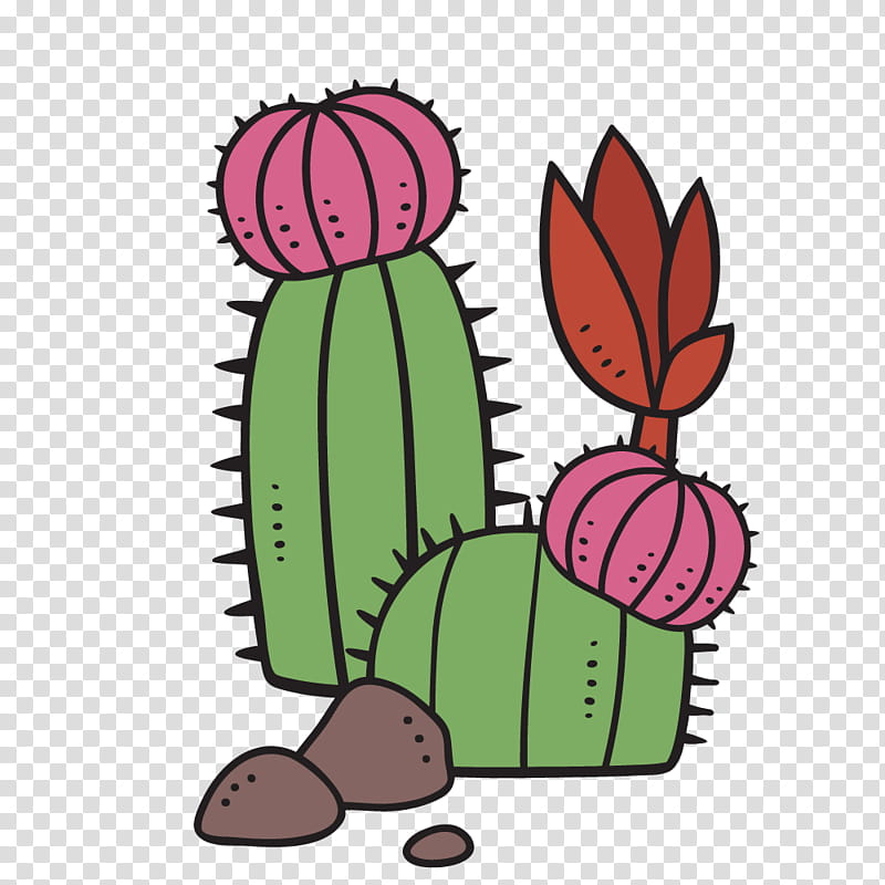 barrel cactus drawing