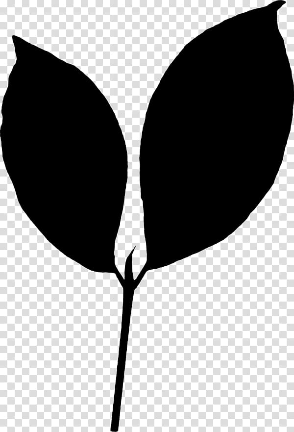 Black Line, Leaf, Silhouette, Computer, Flower, Love My Life, Black M, Blackandwhite transparent background PNG clipart