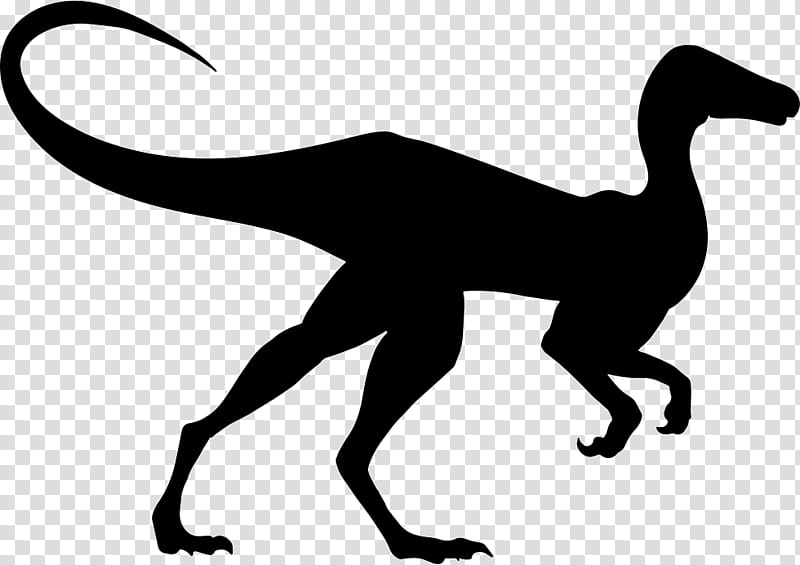 Dinosaur, Compsognathus, Diplodocus, Brachiosaurus, Gigantoraptor, Tyrannosaurus, Line Art, Tail transparent background PNG clipart