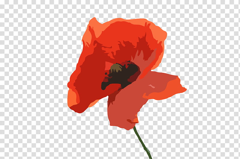 Orange, Red, Coquelicot, Flower, Poppy, Corn Poppy, Poppy Family, Plant transparent background PNG clipart