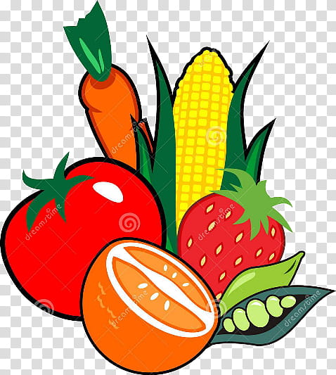 Baby, Vegetable, Fruit, Food, Fruit Vegetable, Carrot, Tomato, Baby Carrot transparent background PNG clipart