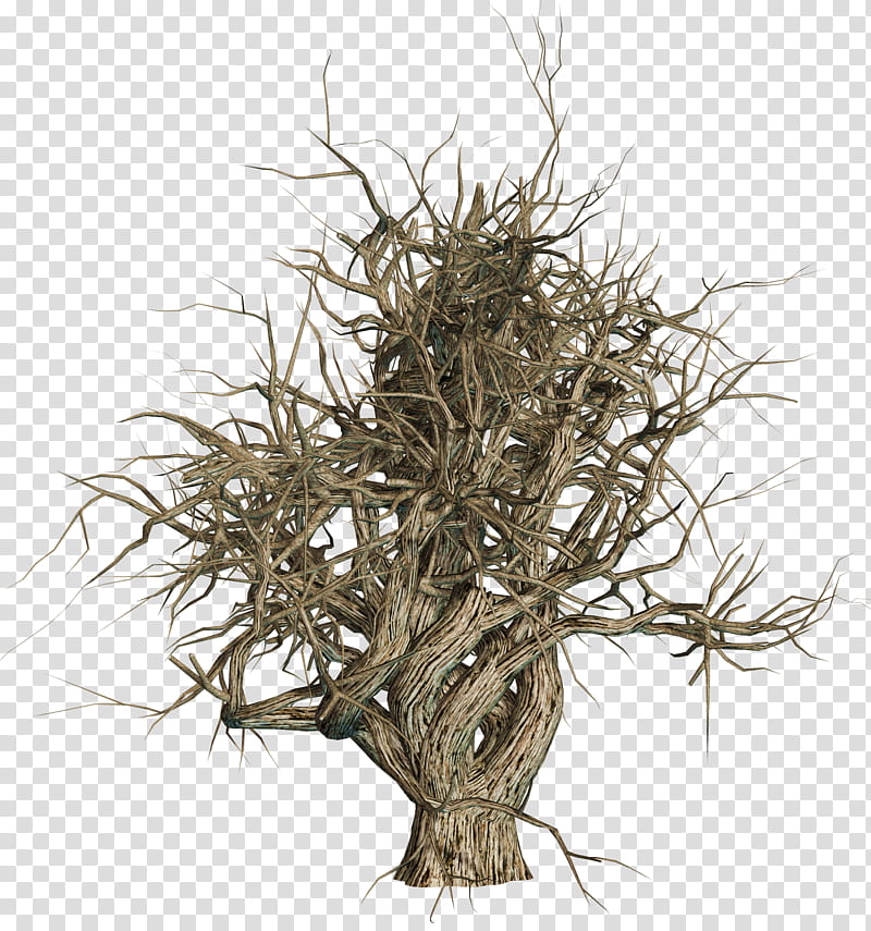 Dead Trees , brown bare tree illustration transparent background PNG clipart
