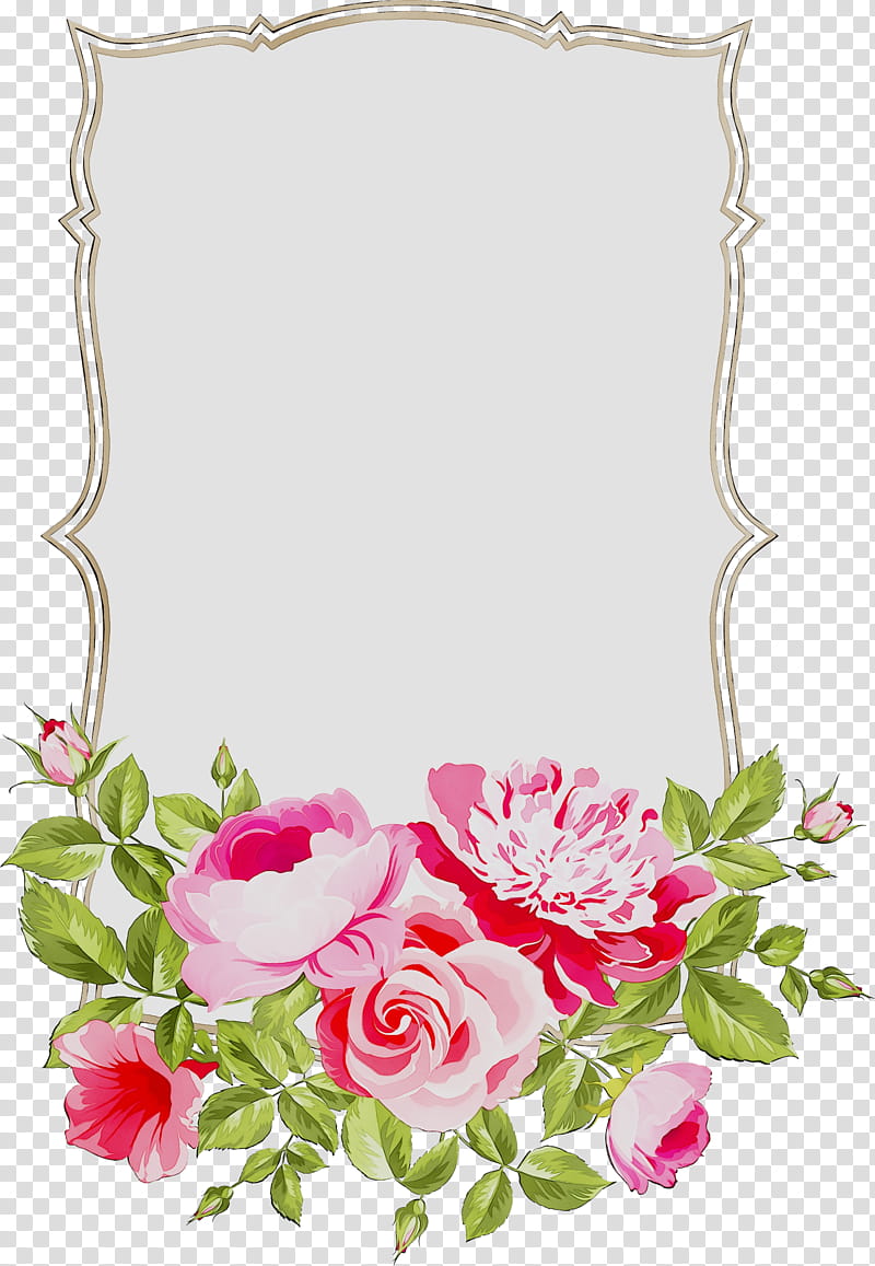 Background Design Frame, Garden Roses, Cabbage Rose, Floral Design, Cut Flowers, Flower Bouquet, Petal, Frames transparent background PNG clipart