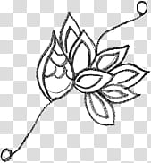 Doodling s, white flower illustration transparent background PNG clipart