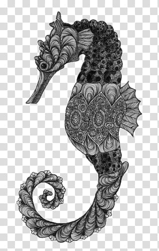 gray seahorse illustration transparent background PNG clipart