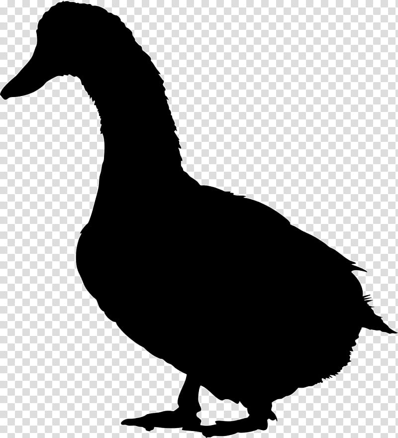 Bird Silhouette, Duck, Goose, Fowl, Domestic Goose, Feather, Generative Adversarial Networks, House transparent background PNG clipart