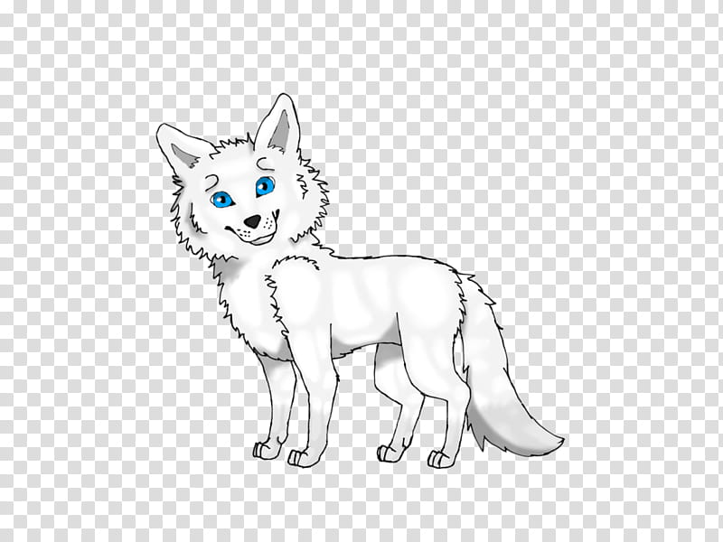Wolf Drawing, Line Art, Pet, Paw, Animal, Wildlife, Head, Swift Fox transparent background PNG clipart