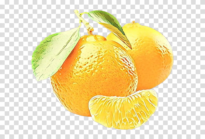citrus fruit natural foods mandarin orange peel, Cartoon, Tangerine, Tangelo, Plant, Lemon transparent background PNG clipart
